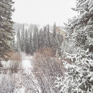 Meet your Posher, Stacy